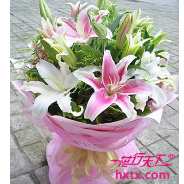 <em>领导</em>送花|<em>领导</em>鲜花|<em>上级</em>送花|<em>上级送什么</em>花适合